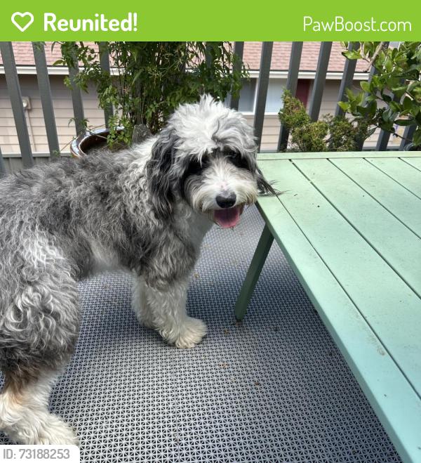 Reunited Male Dog last seen Nottingham Drive and Jennings, Gladstone, OR 97027