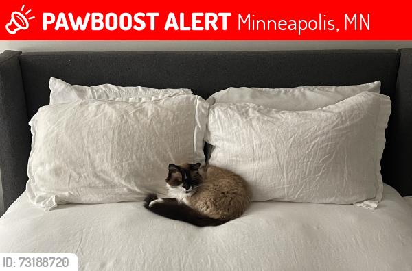 Lost Female Cat last seen Near Morgan Ave S, Minneapolis, MN 55419