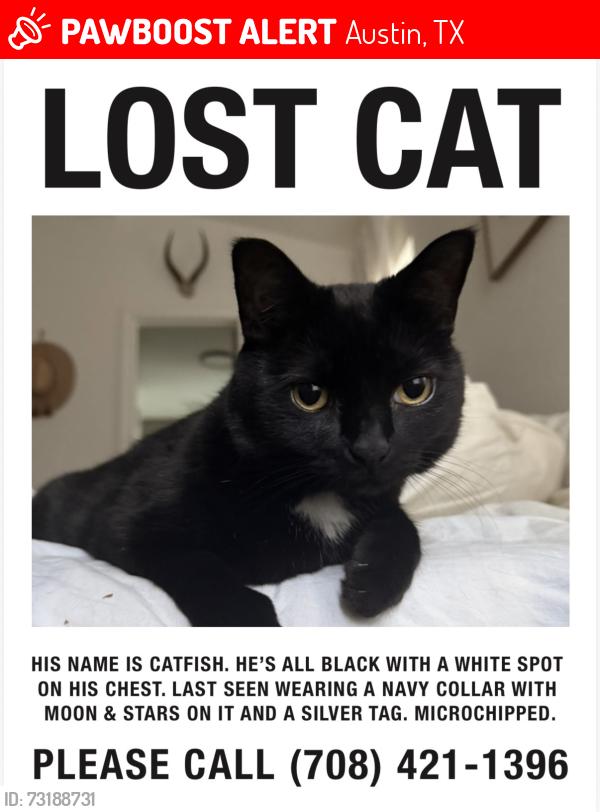 Lost Male Cat last seen Fence Row & Peach Grove, Austin, TX 78744