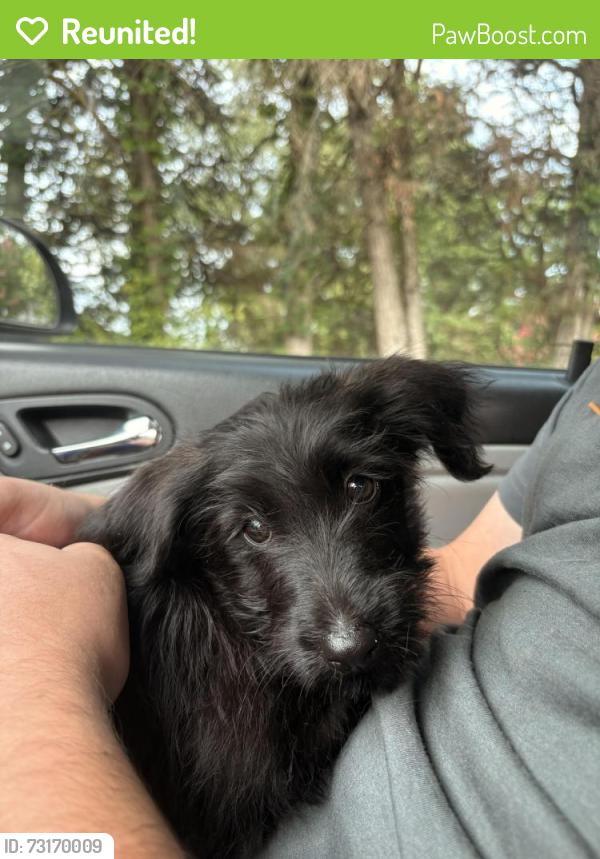 Reunited Female Dog last seen Tangletree dr, Linden, NC 28356