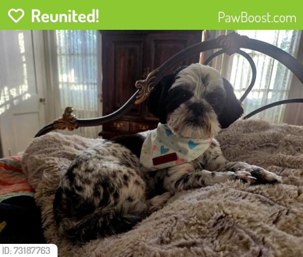 Reunited Female Dog last seen Near Mt. EDEN Road, kirkwood PA, Kirkwood, PA 17536