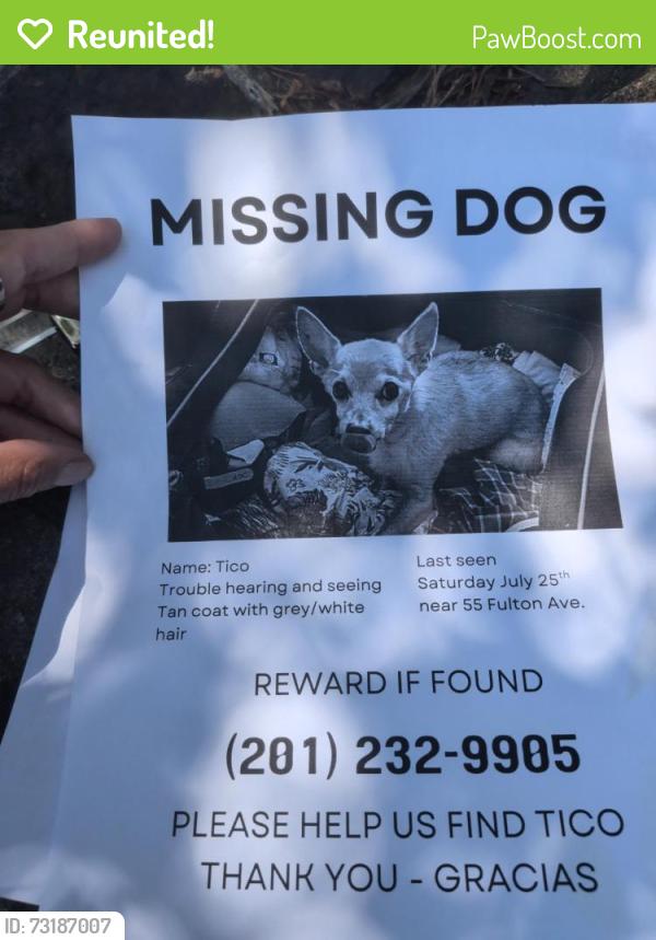 Reunited Male Dog last seen Palisade Ave, Fairview, NJ 07022