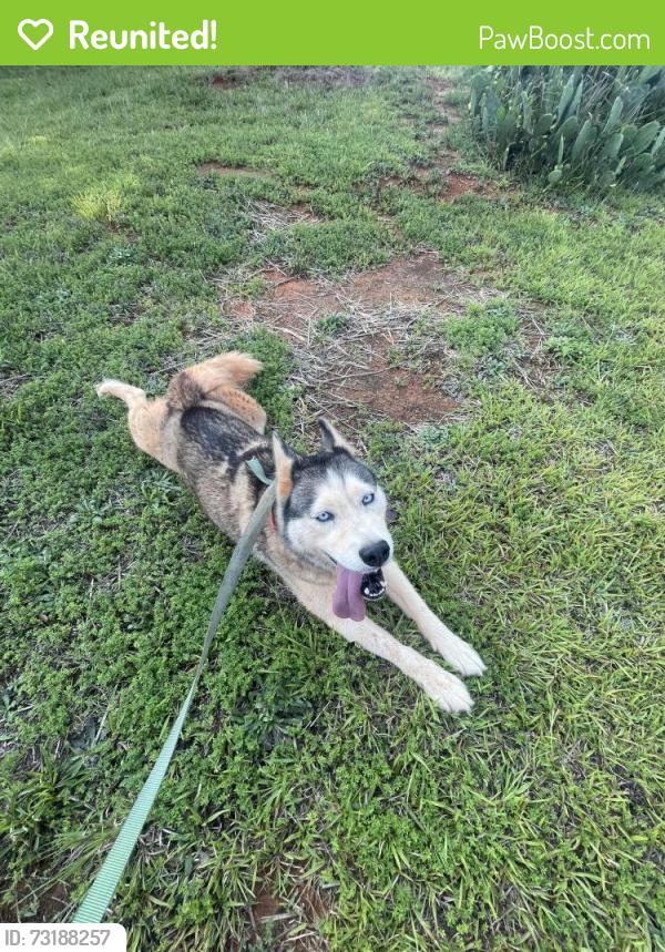 Reunited Female Dog last seen River Chase Neighborhood, Monroe, NC 28110