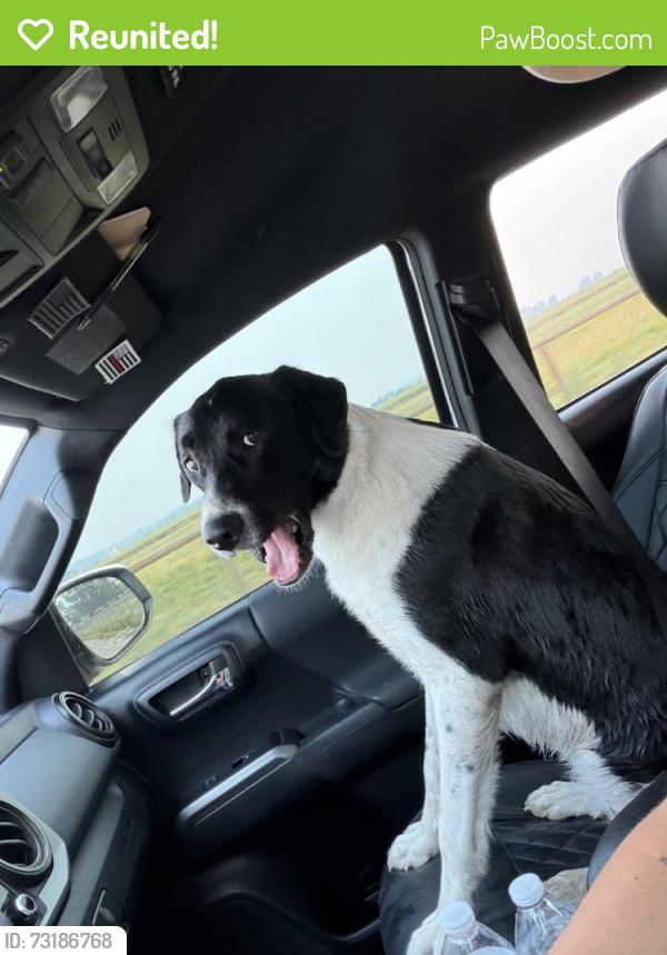 Reunited Female Dog last seen 12th Ave Rd, Nampa, ID, USA, Nampa, ID 83686