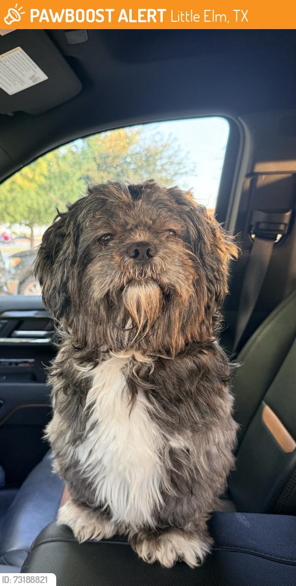 Found/Stray Male Dog last seen Union Park Elementary School, Little Elm, TX 76227