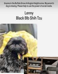 Reunited Male Dog last seen Arlington heights road around kennicott, Arlington Heights, IL 60004