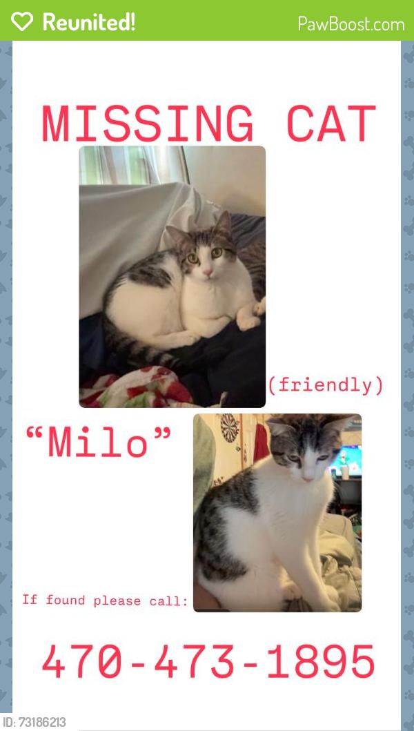 Reunited Male Cat last seen Harrison rd, Carrollton, GA 30117