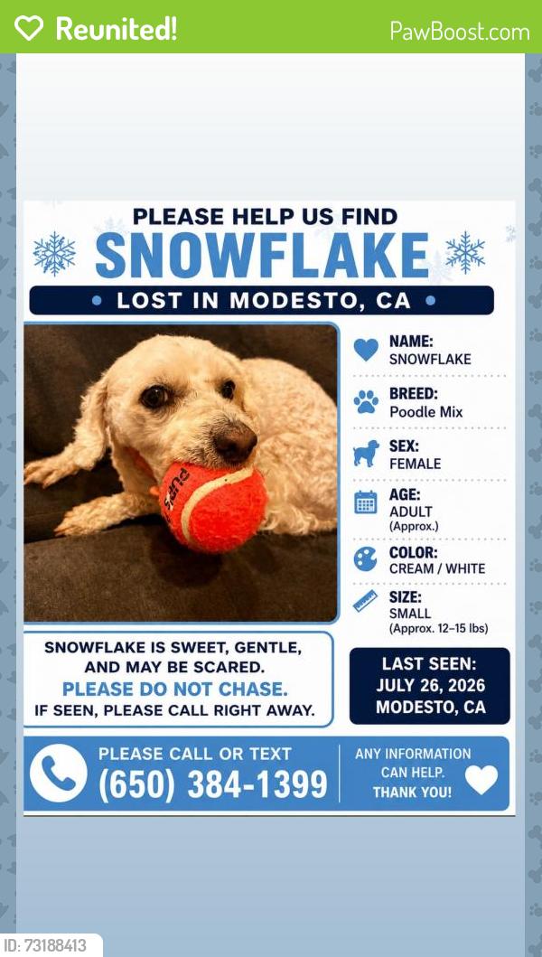 Reunited Female Dog last seen Mchenry Avenue, Modesto, CA 95350