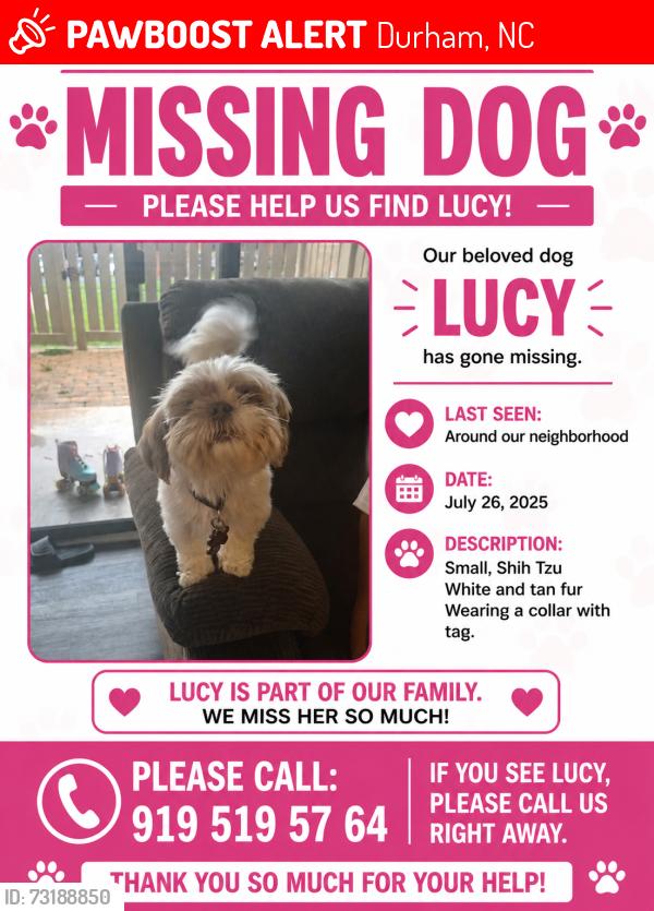 Lost Female Dog last seen Near croasdaile dr, Durham, NC 27705