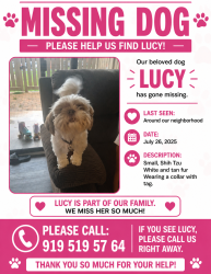 Lost Female Dog last seen Near croasdaile dr, Durham, NC 27705