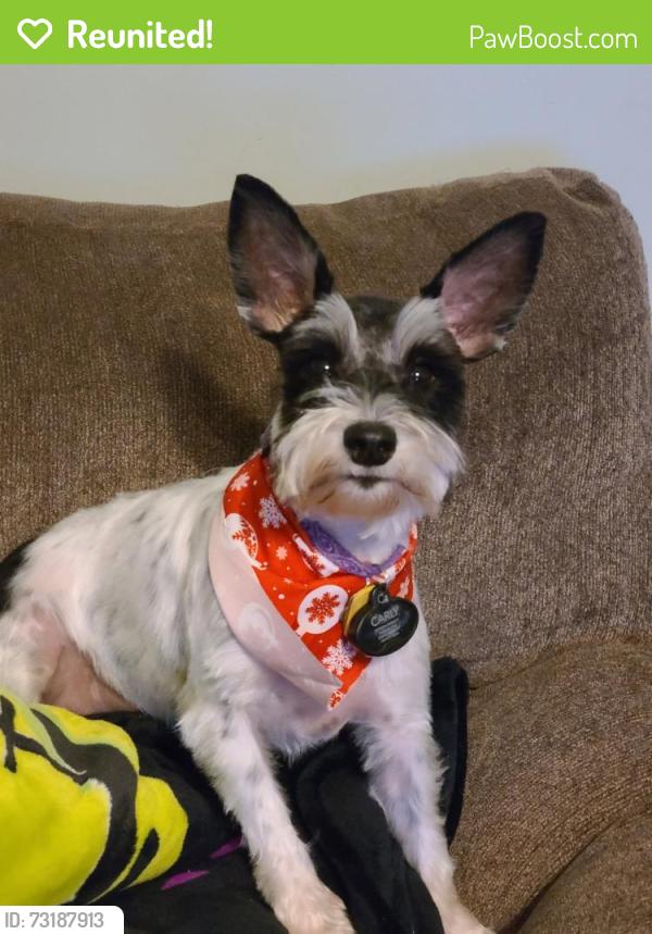 Reunited Female Dog last seen East Forsyth High School / Jot'em Down Road, Gainesville, GA 30506