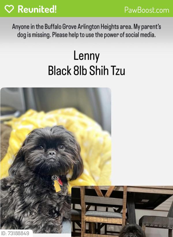 Reunited Male Dog last seen Arlington heights road around kennicott, Arlington Heights, IL 60004