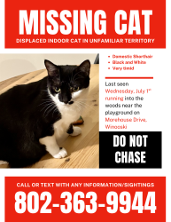 Lost Female Cat last seen Mallets Bay Ave, Colchester, VT 05446