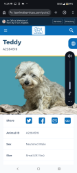 Lost Male Dog last seen 62nd Manhattan st, Los Angeles, CA 90047