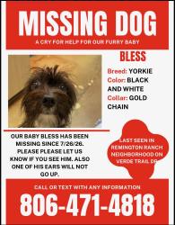 Lost Male Dog last seen Imperial valley 77073, Houston, TX 77073
