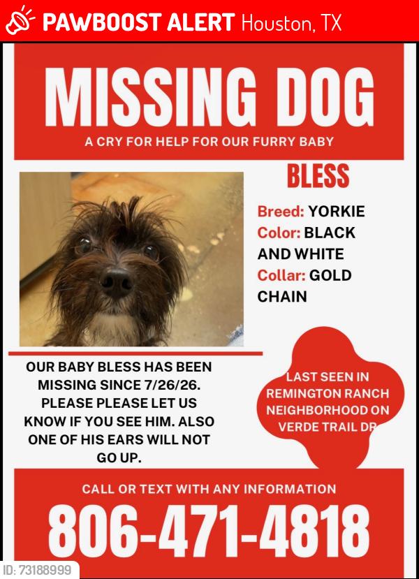Lost Male Dog last seen Imperial valley 77073, Houston, TX 77073