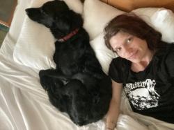 Lost Male Dog last seen Stallings rd and reid School Road, Taylors, SC 29687