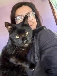 Lost Male Cat last seen Richard Street, Beloit, WI 53511