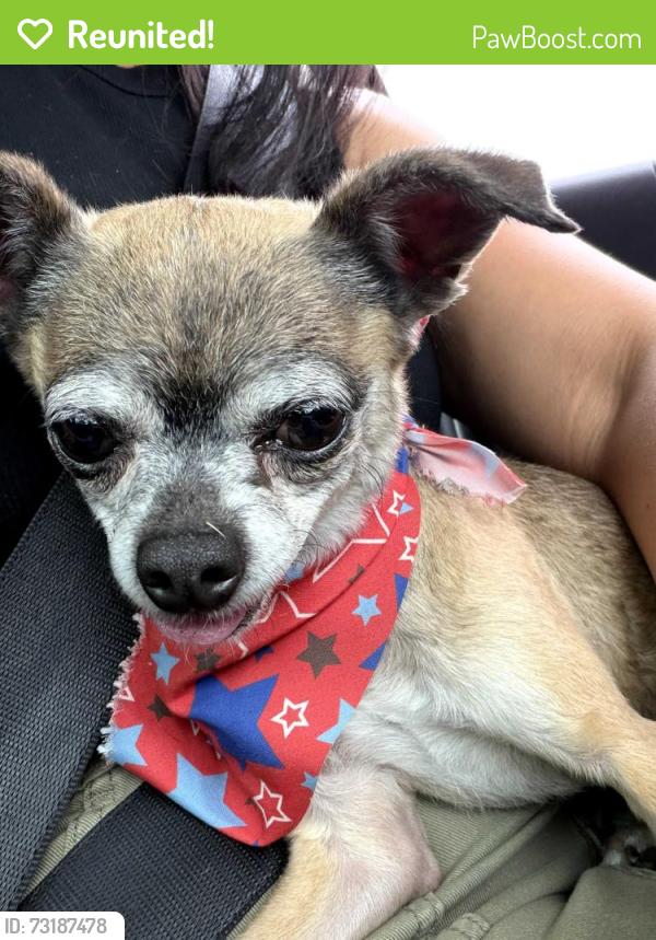 Reunited Unknown Dog last seen Palm/20th, Upland, CA 91786