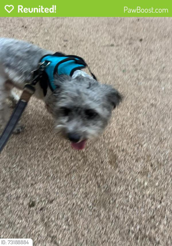 Reunited Unknown Dog last seen Sunset dr cleburne, Cleburne, TX 76033