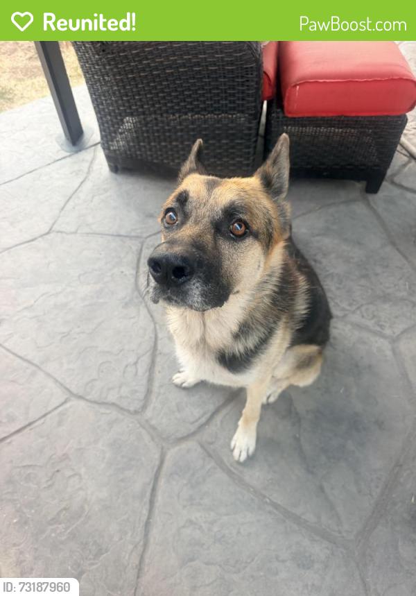 Reunited Male Dog last seen 47th street, San Diego, CA 92102