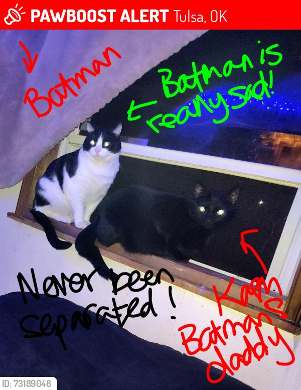 Lost Male Cat last seen Got out at Tradewinds Hotel, Was last Seen at Duplexes on the left side of 47th Street, Tulsa, OK 74135