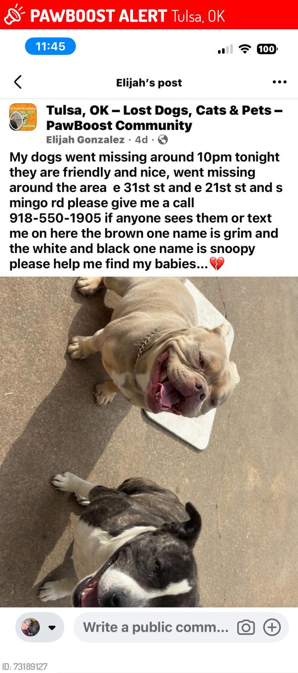 Lost Unknown Dog last seen E 21st & E 31st and Mingo, Tulsa, OK 74128