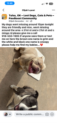 Lost Unknown Dog last seen E 21st & E 31st and Mingo, Tulsa, OK 74128