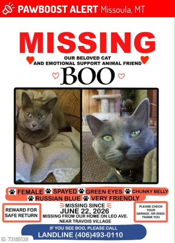 Lost Female Cat last seen close to train tracks on Russel st & Travoy Village, Missoula, MT 59808