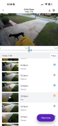 Found/Stray Unknown Dog last seen Clifton corners, Jacksonville, FL 32222