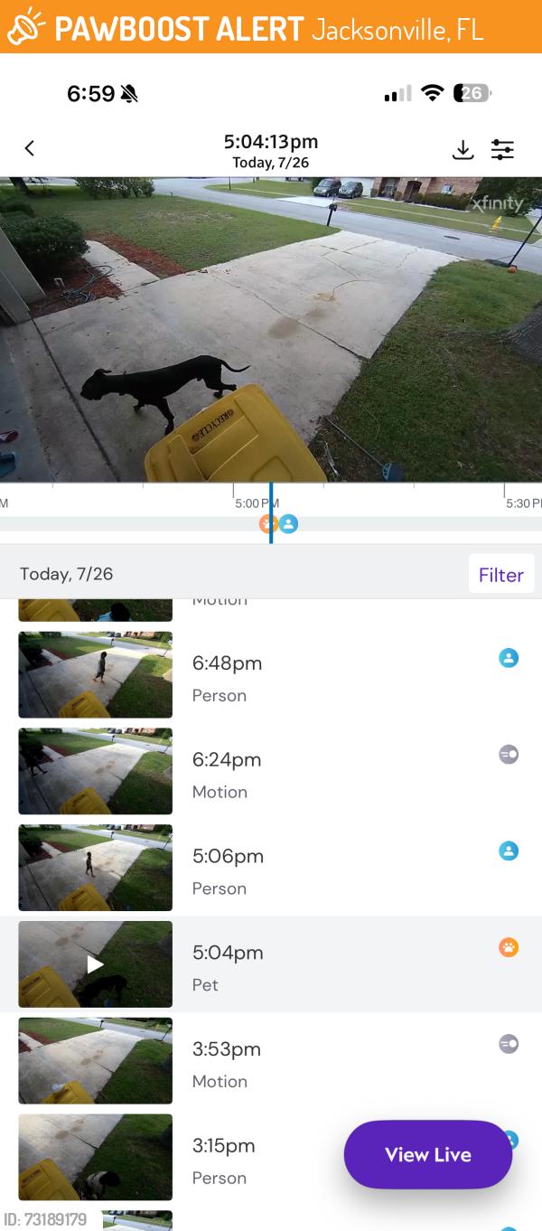 Found/Stray Unknown Dog last seen Clifton corners, Jacksonville, FL 32222