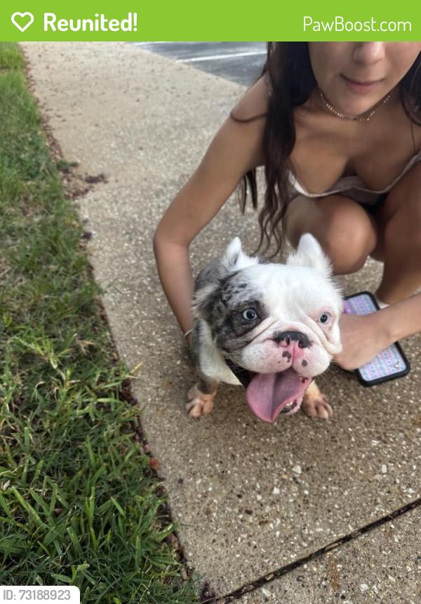 Reunited Unknown Dog last seen The Grove, Tyler, TX 75703
