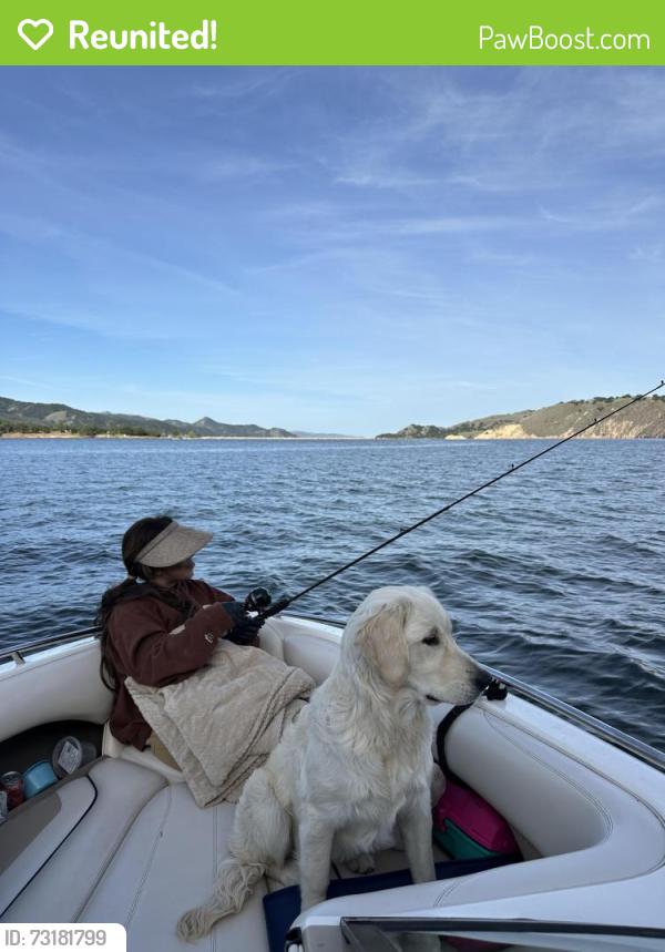 Reunited Female Dog last seen Turnpike Zink, Santa Barbara, CA 93111