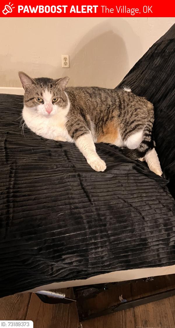 Lost Male Cat last seen Penn and Britton, The Village, OK 73120