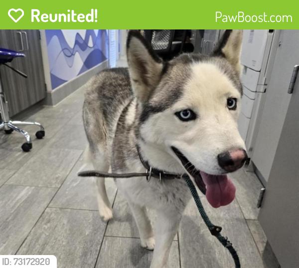 Reunited Male Dog last seen Near E 16th Ave, Aurora, CO 80010, USA, Aurora, CO 80010