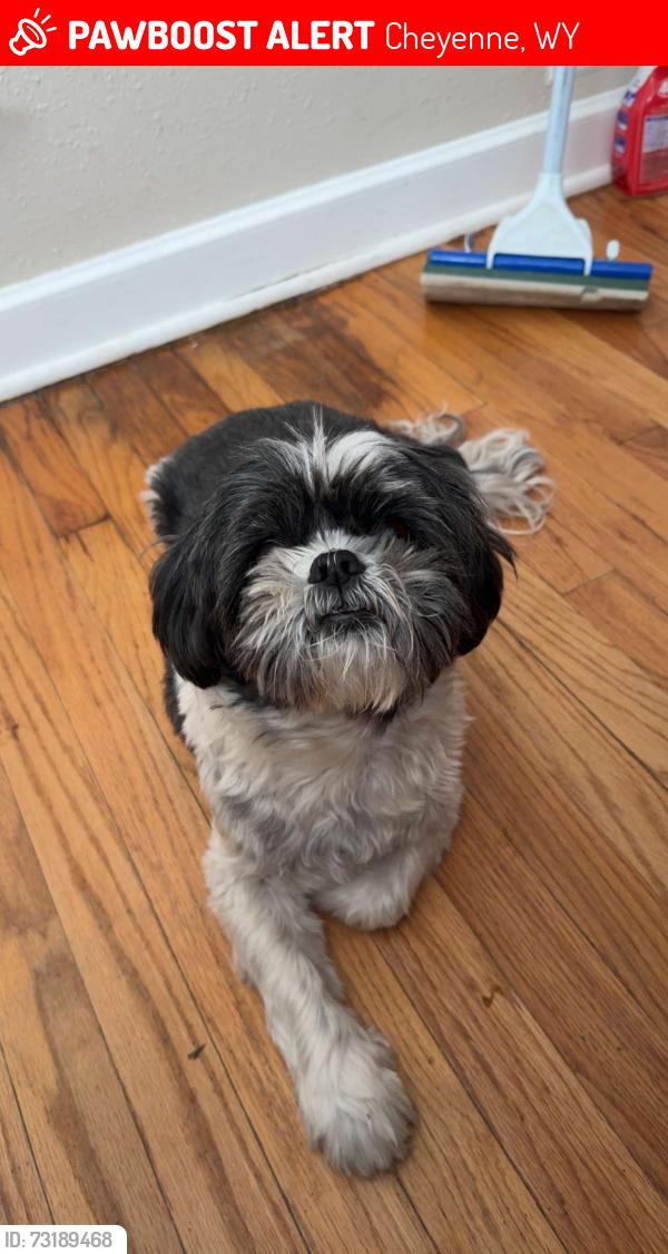 Lost Male Dog last seen E 22nd and Logan, Cheyenne, WY 82001