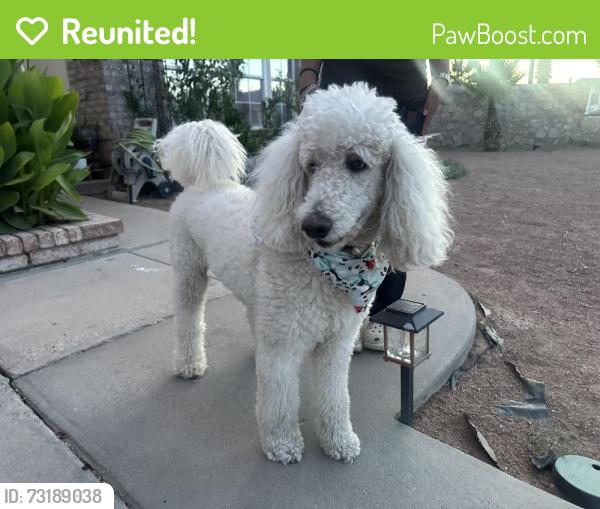 Reunited Male Dog last seen New world dr, El Paso, TX 79936