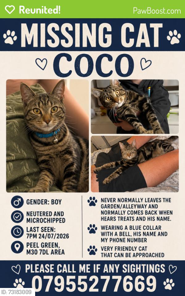 Reunited Male Cat last seen Stelfox street, Eccles, England 