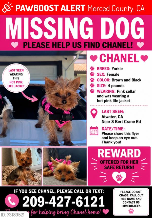Lost Female Dog last seen S Bert crane rd Atwater ca, Merced County, CA 95301