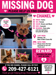 Lost Female Dog last seen S Bert crane rd Atwater ca, Merced County, CA 95301