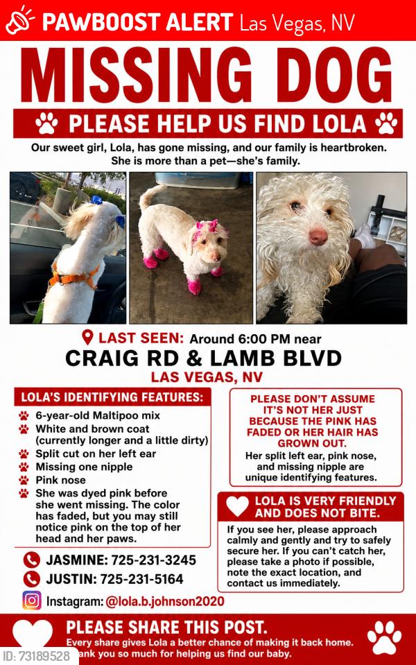 Lost Female Dog last seen Craig and lamb, Las Vegas, NV 89115