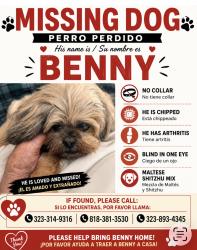 Reunited Male Dog last seen Bedford and Guthrie -LA 90034, Los Angeles, CA 90034
