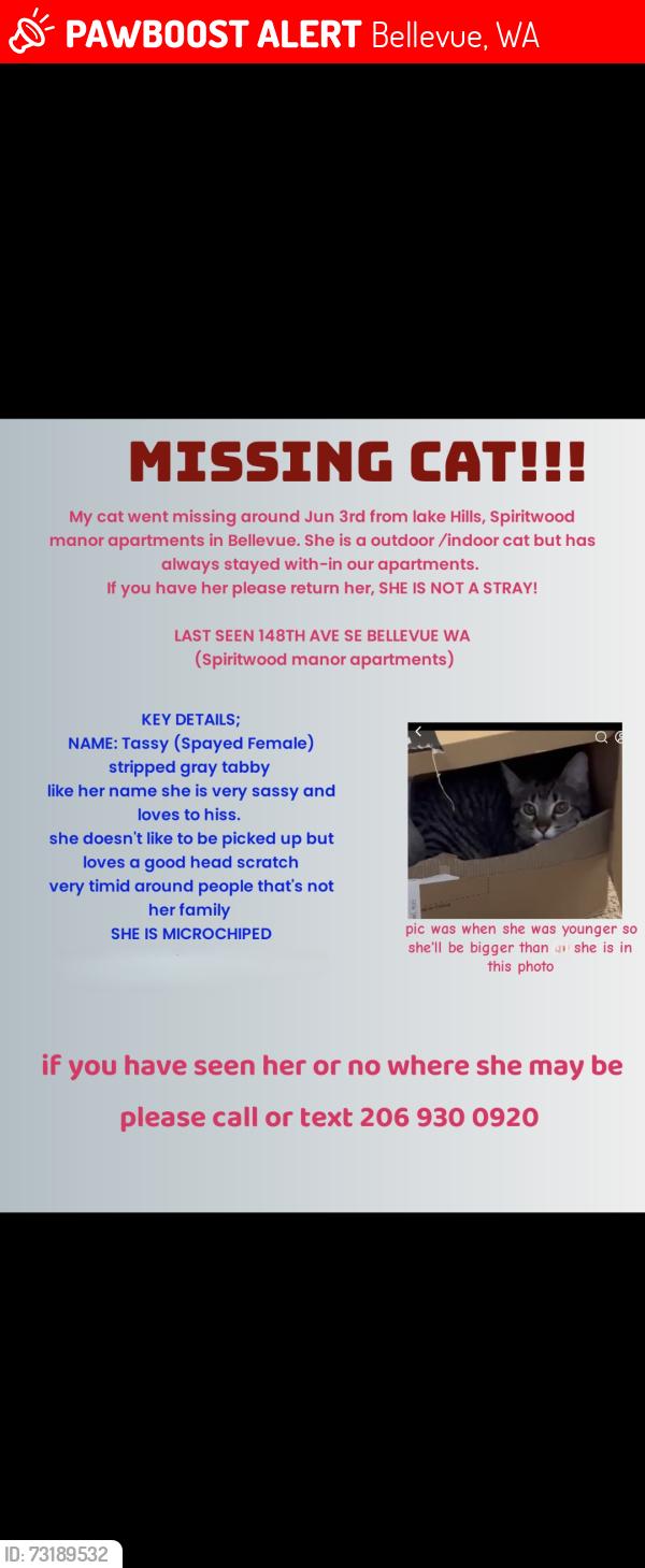 Lost Female Cat last seen 148th ave se & lakehill blvd, Bellevue, WA 98006