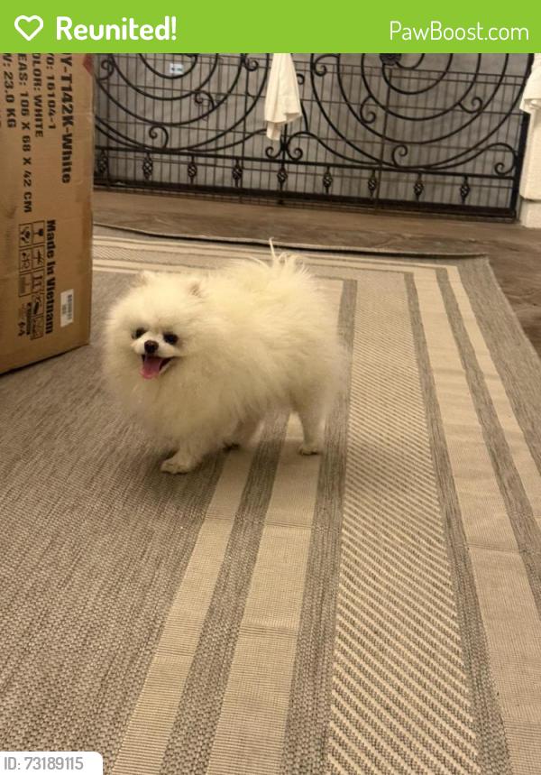 Reunited Female Dog last seen Evening View Dr, Chula Vista, CA 91914