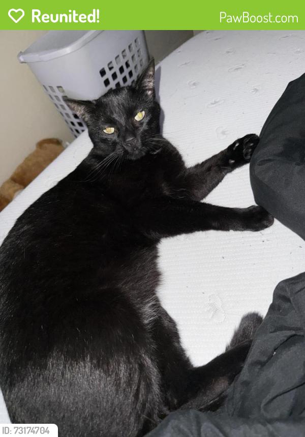 Reunited Male Cat last seen Creekwood apmts, Tulsa, OK 74133