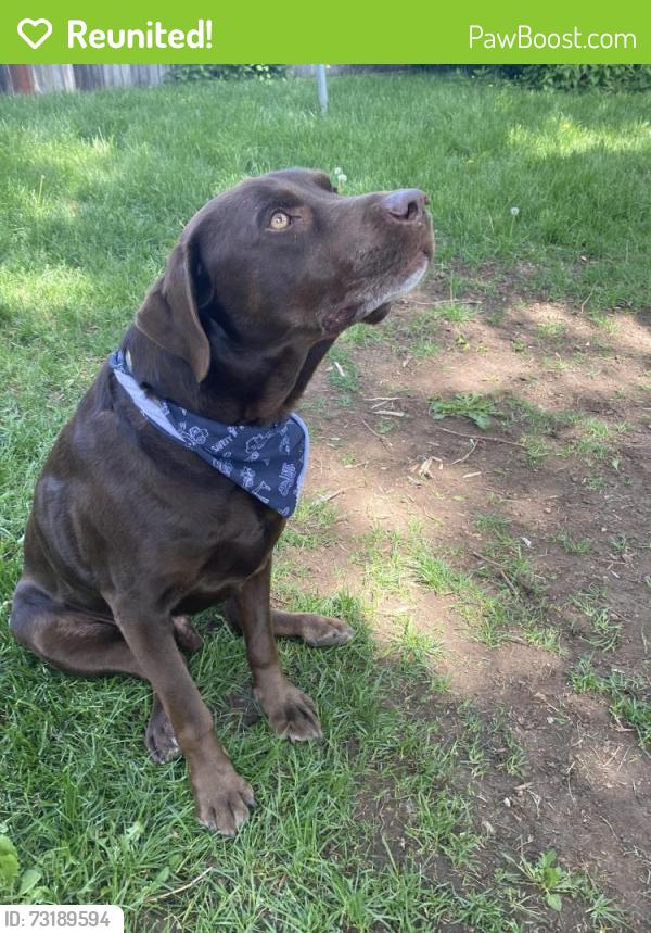 Reunited Male Dog last seen W Virginia St and S Tejon St, Denver, CO 80223
