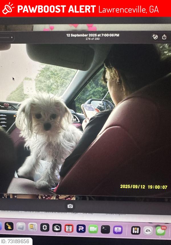 Lost Female Dog last seen Can possibly be seen in Countryside Village of Atlanta or Green Turf Dr in Snellville., Lawrenceville, GA 30044