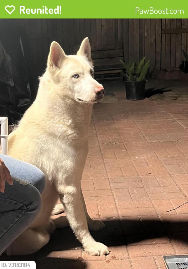 Reunited Male Dog last seen Near crested green dr , Houston tx 77082, Houston, TX 77082