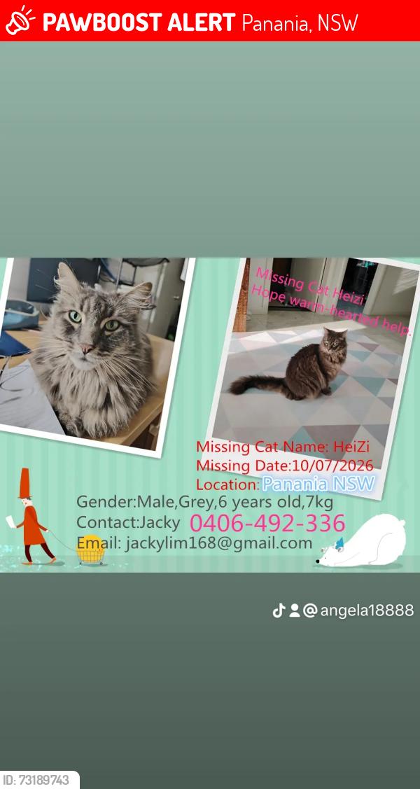 Lost Male Cat last seen Panania, Panania, NSW 2213