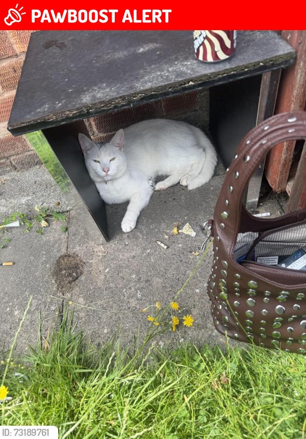 Lost Male Cat last seen Tame street, West Midlands, England 